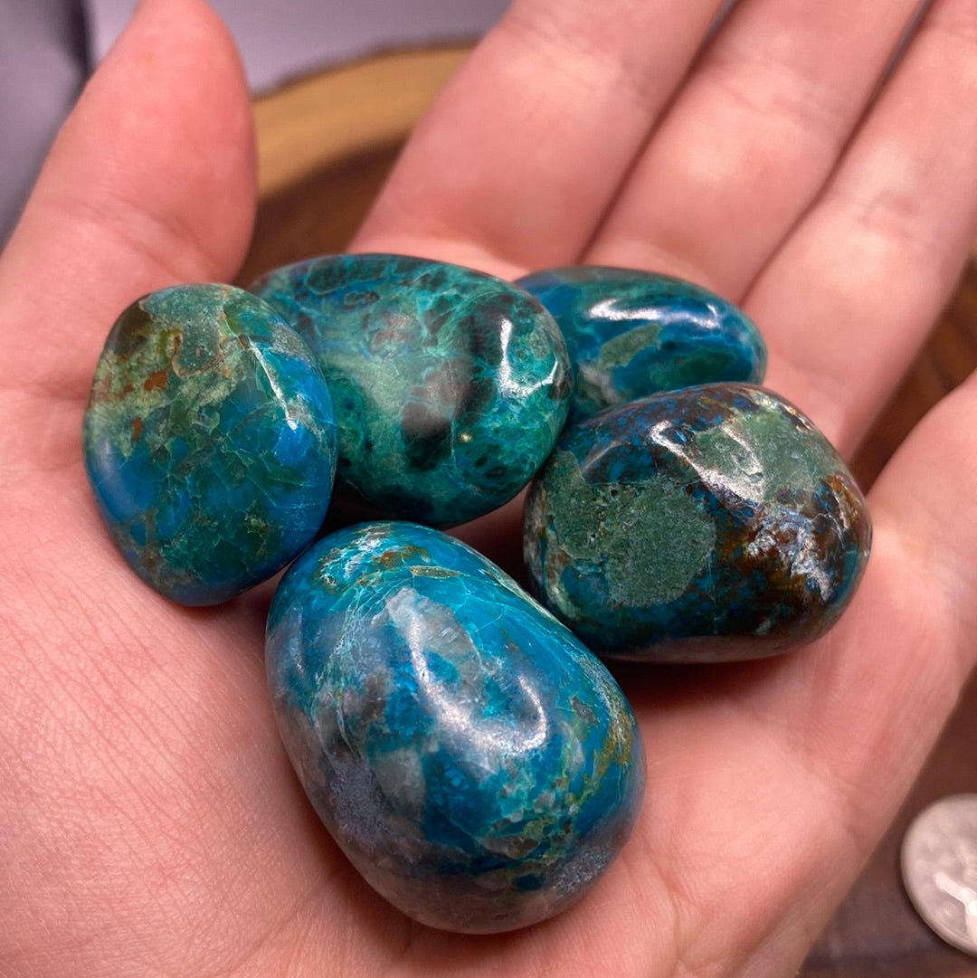 Chrysocolla Tumbled (M) crystal showcasing its vibrant blue-green color and smooth surface, perfect for meditation and emotional balance.