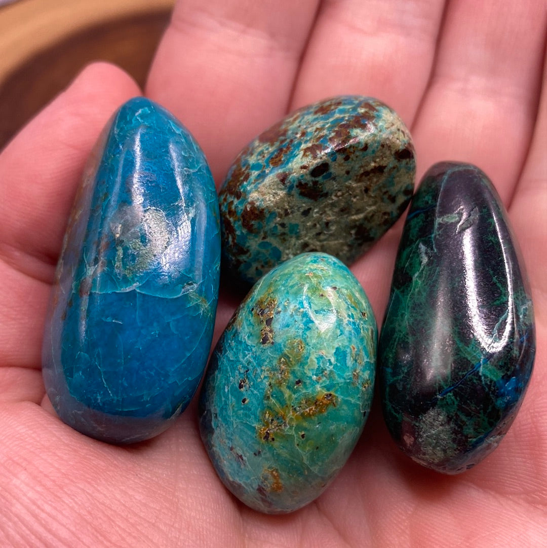 Chrysocolla Tumbled (M) crystal showcasing its vibrant blue-green color and smooth surface, perfect for meditation and emotional balance.