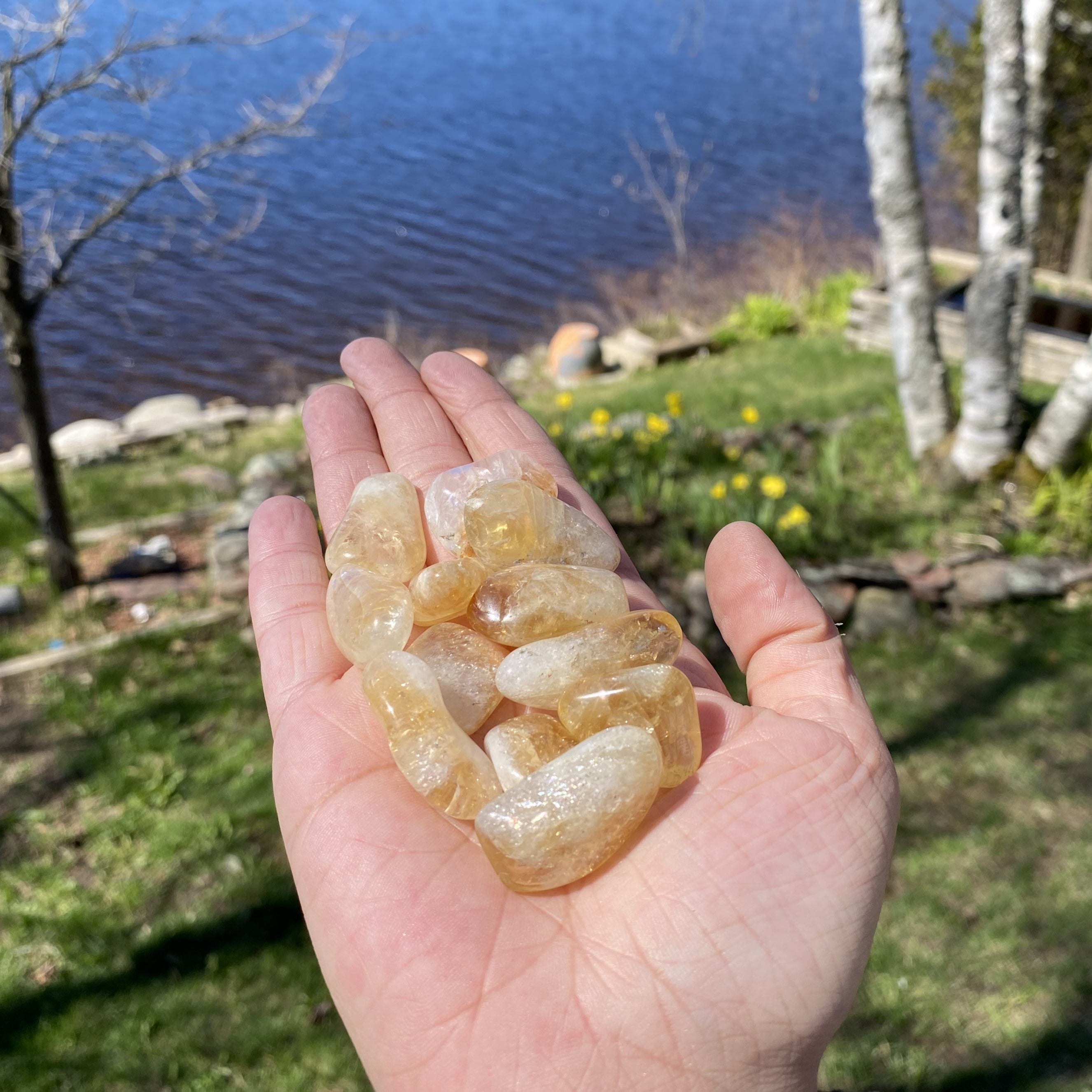 A collection of Citrine Tumbled Crystal Stones showcasing vibrant yellow to golden brown hues, perfect for energy work and decoration.