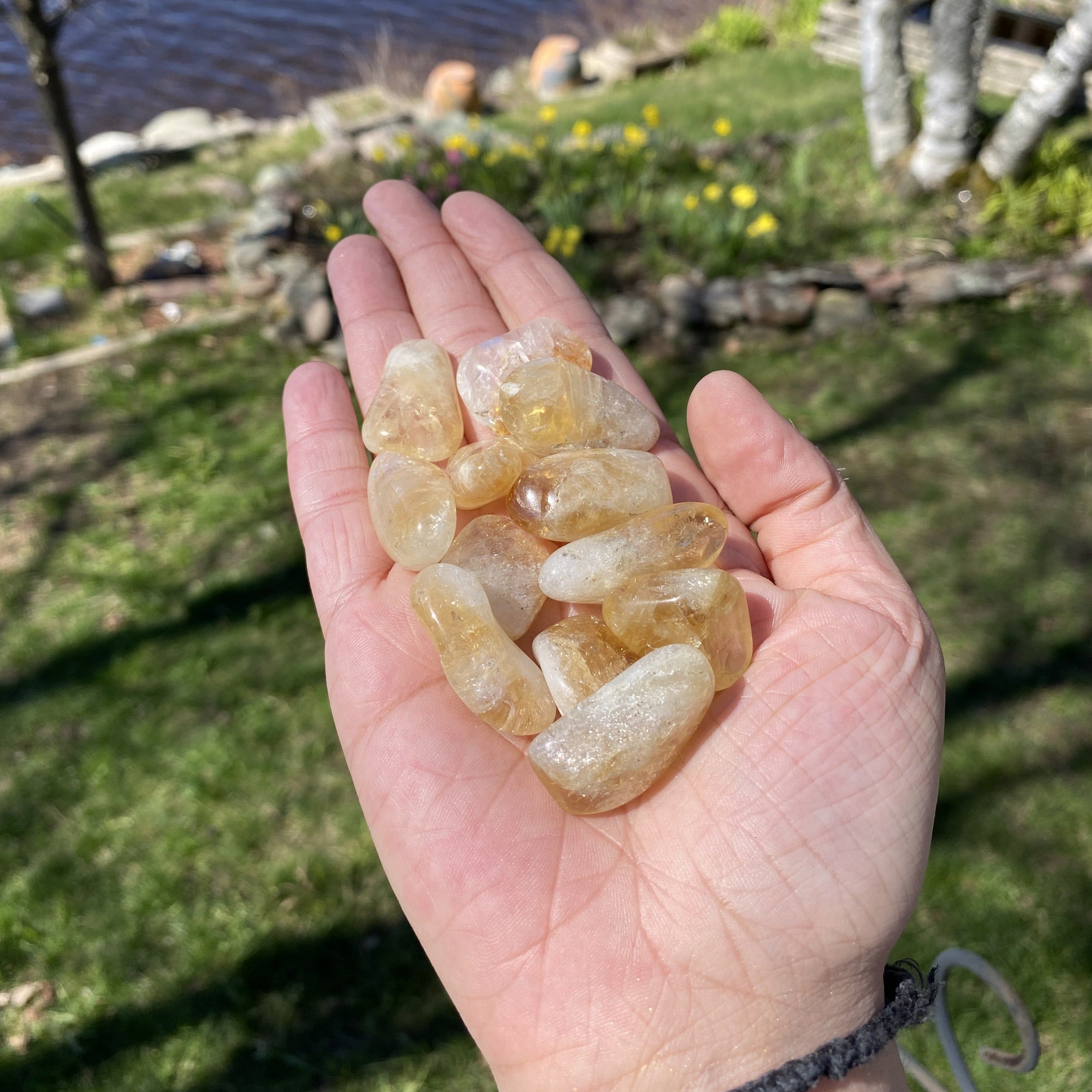 A collection of Citrine Tumbled Crystal Stones showcasing vibrant yellow to golden brown hues, perfect for energy work and decoration.