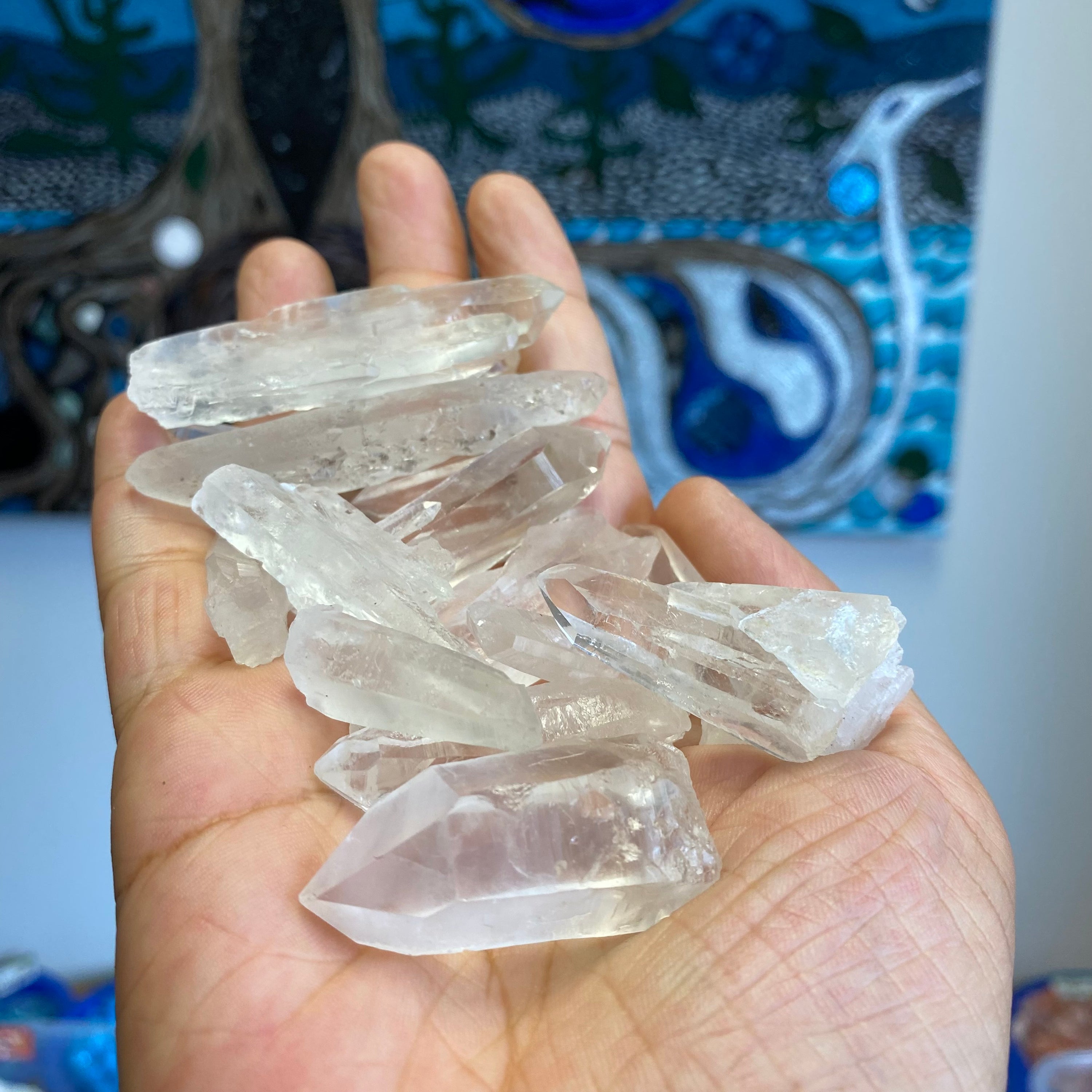 A collection of Clear Quartz Laser Points, showcasing their unique shapes and laser-like ends, ideal for energy work and crystal grids.