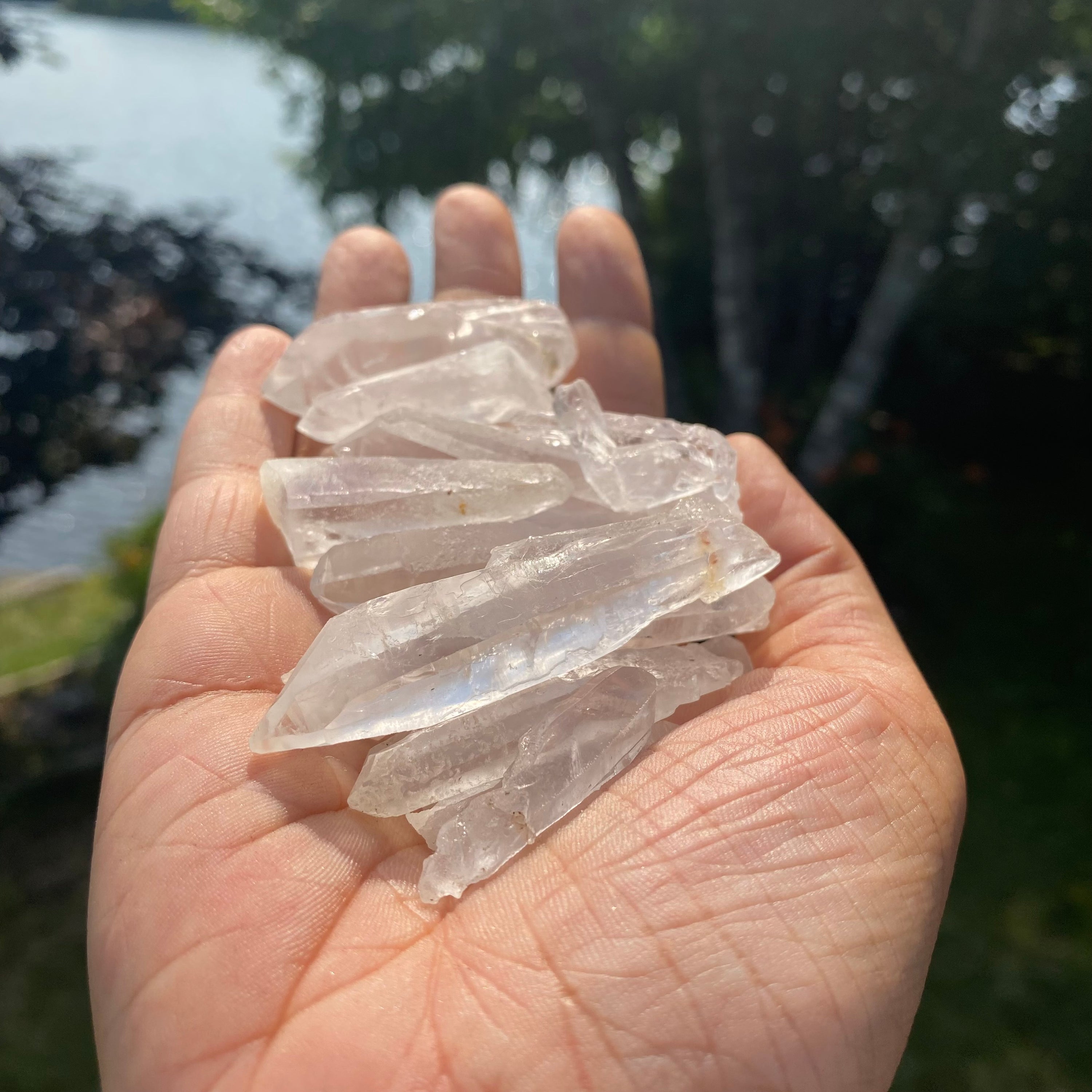 A collection of Clear Quartz Laser Points, showcasing their unique shapes and laser-like ends, ideal for energy work and crystal grids.