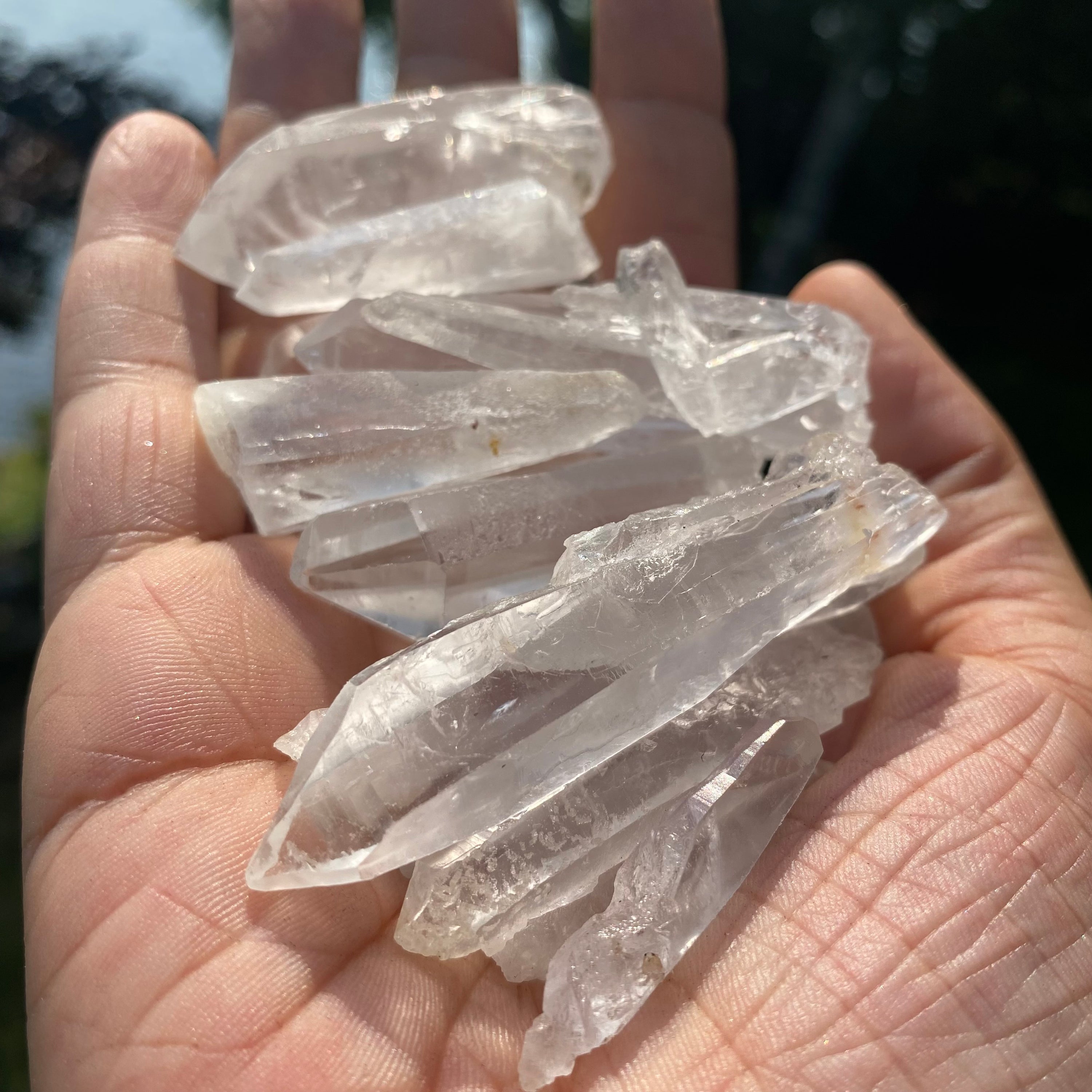 A collection of Clear Quartz Laser Points, showcasing their unique shapes and laser-like ends, ideal for energy work and crystal grids.