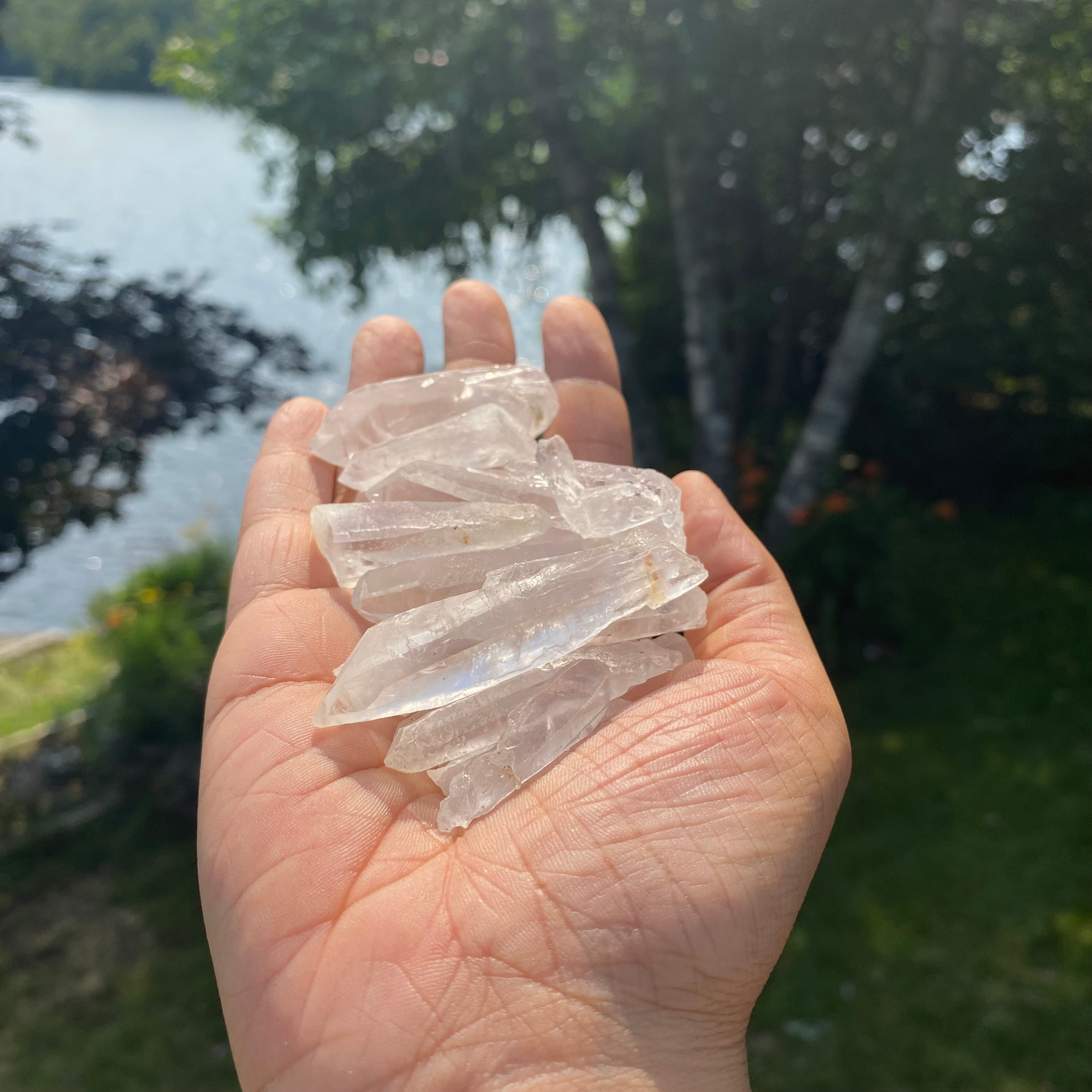 A collection of Clear Quartz Laser Points, showcasing their unique shapes and laser-like ends, ideal for energy work and crystal grids.