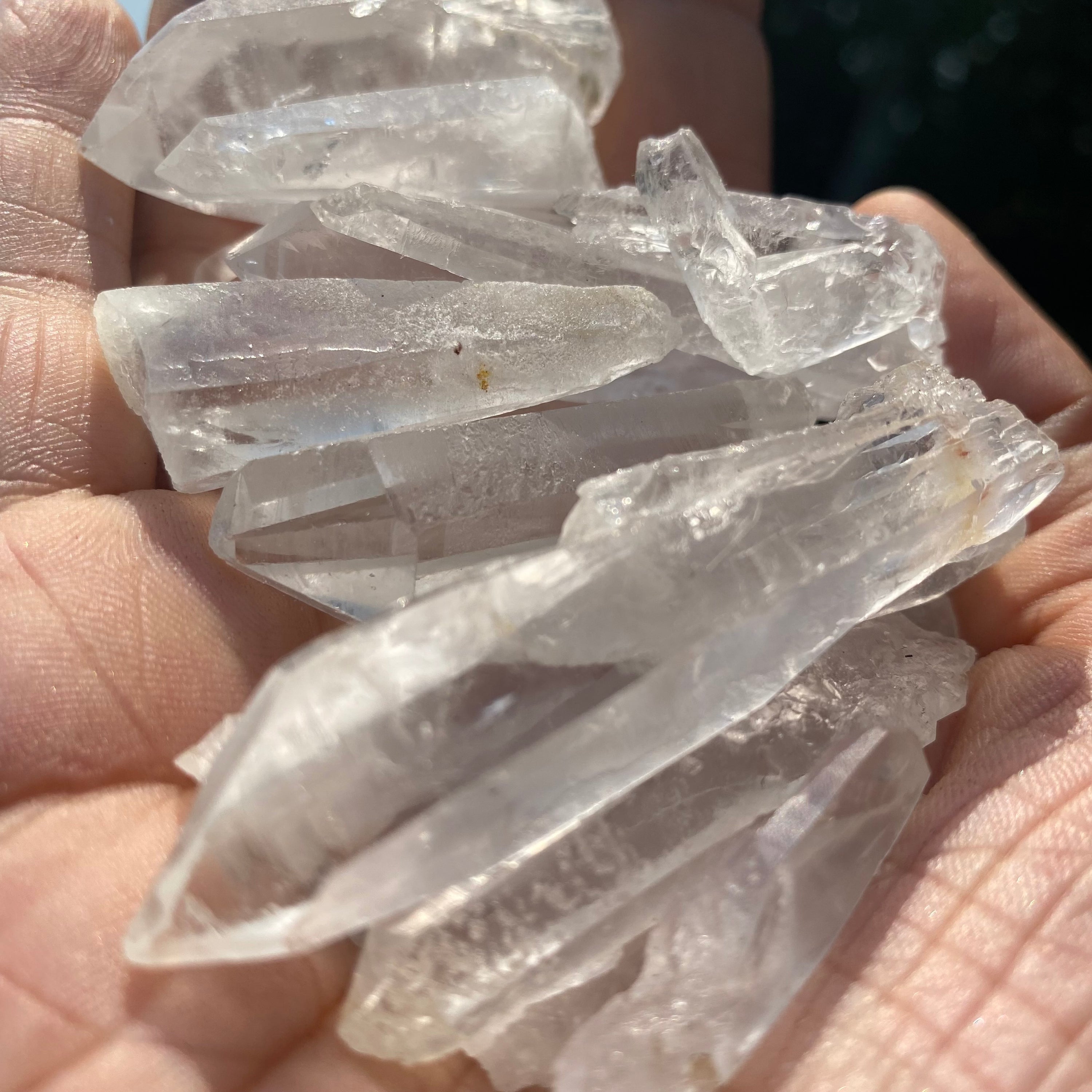 A collection of Clear Quartz Laser Points, showcasing their unique shapes and laser-like ends, ideal for energy work and crystal grids.