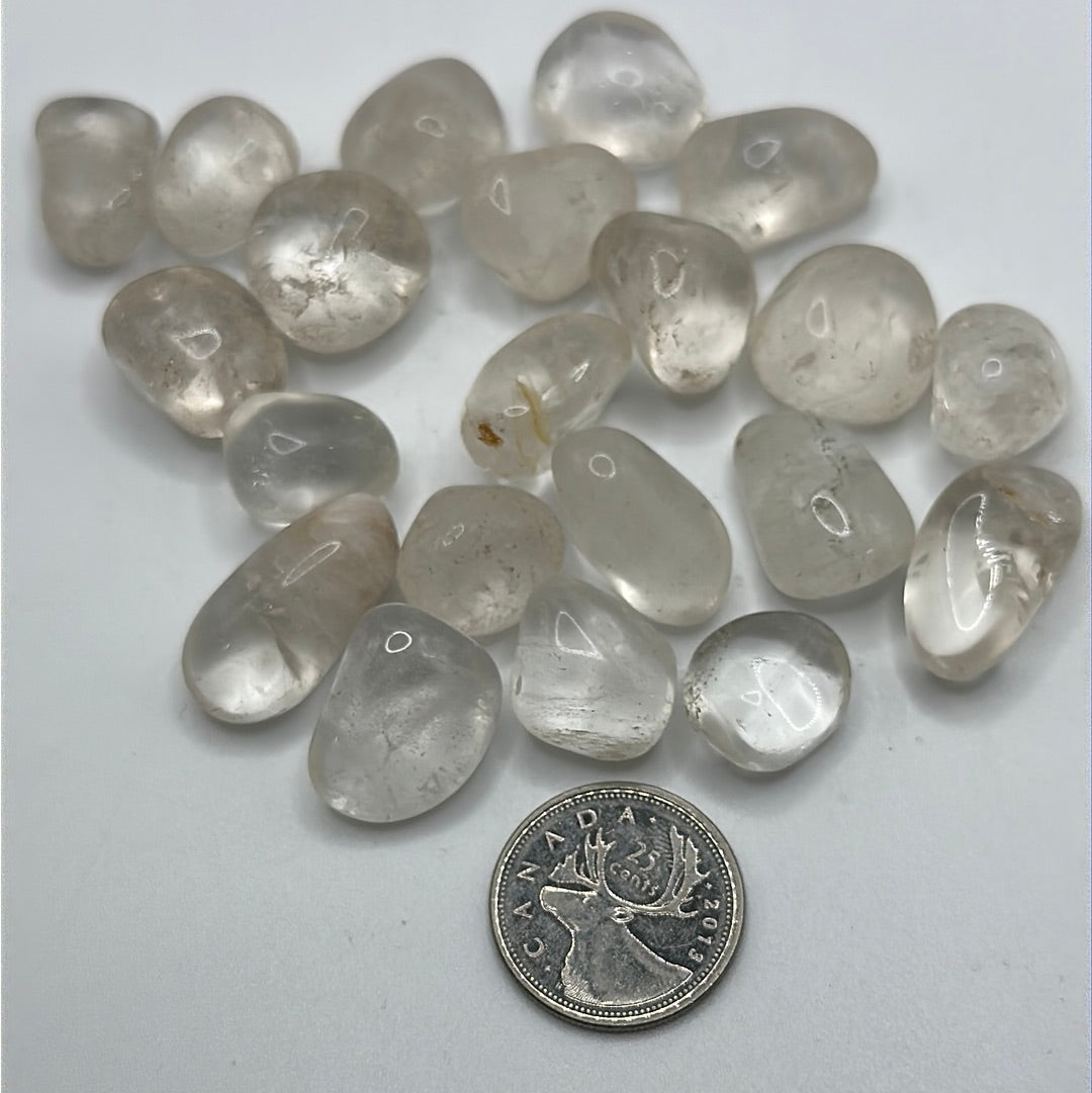 A collection of Clear Quartz tumbled crystal stones, showcasing their unique shapes and sizes, perfect for healing and meditation.