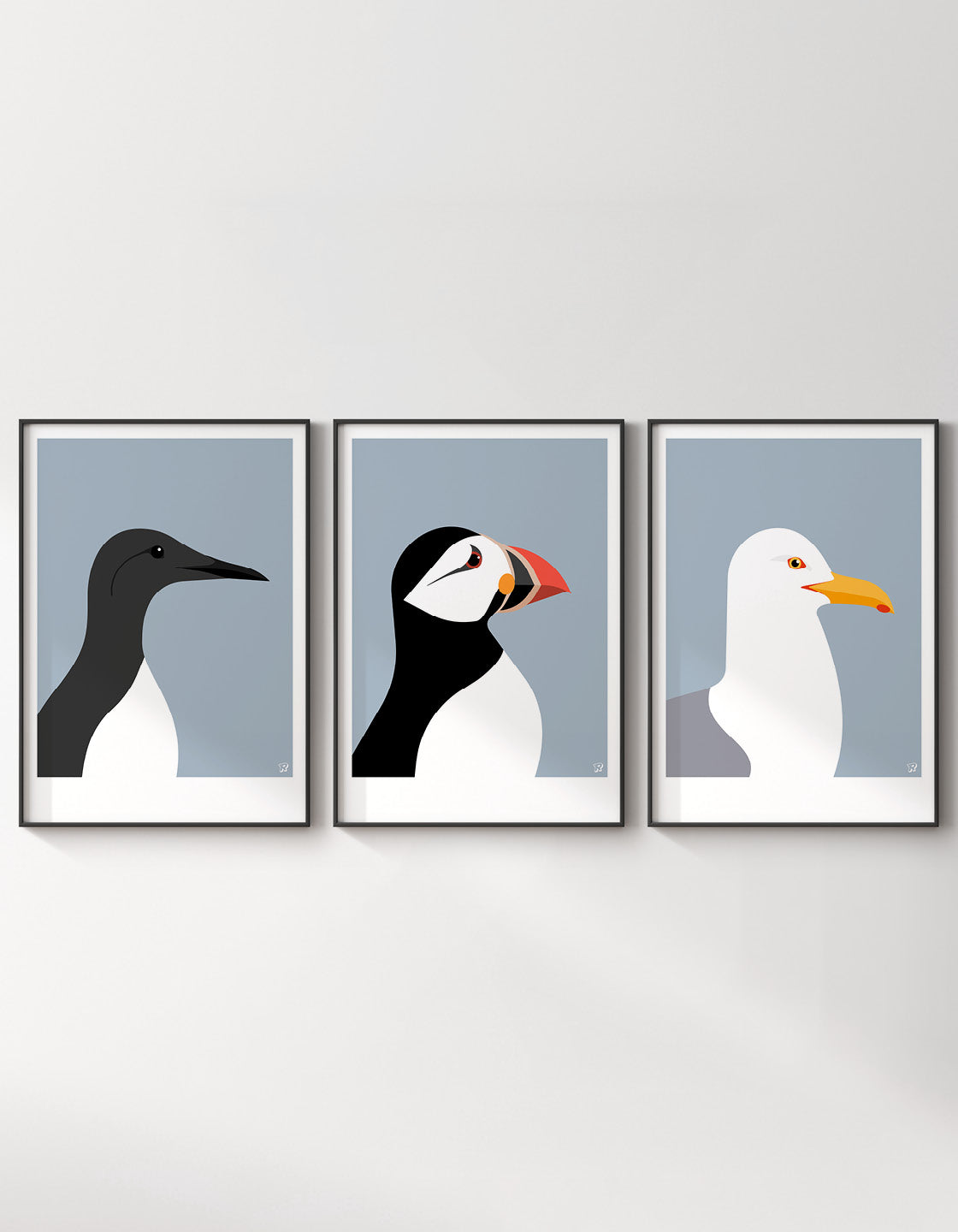 A set of three coastal bird prints featuring a Guillemot, Puffin, and Seagull, showcasing vibrant colors and intricate details.