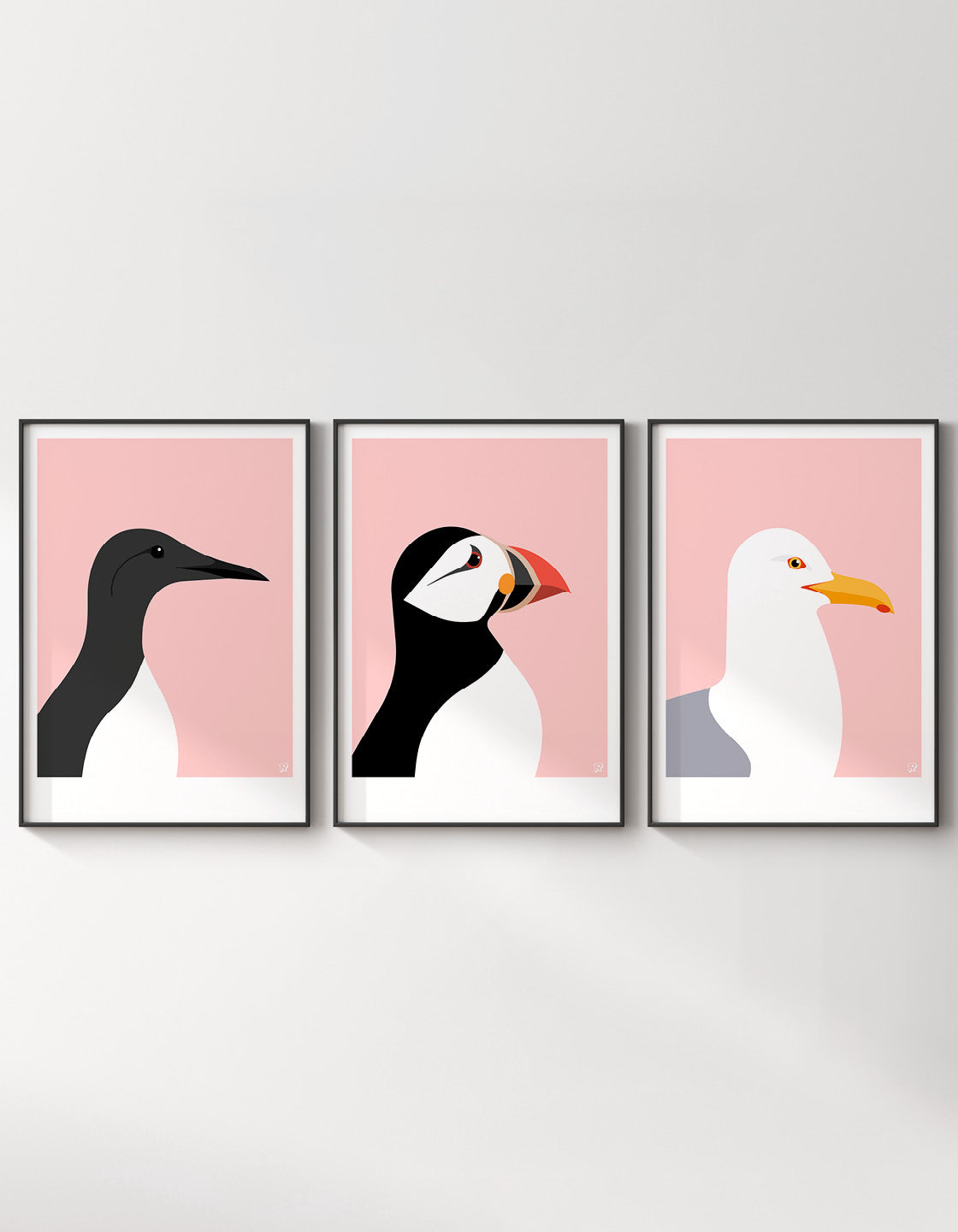 A set of three coastal bird prints featuring a Guillemot, Puffin, and Seagull, showcasing vibrant colors and intricate details.