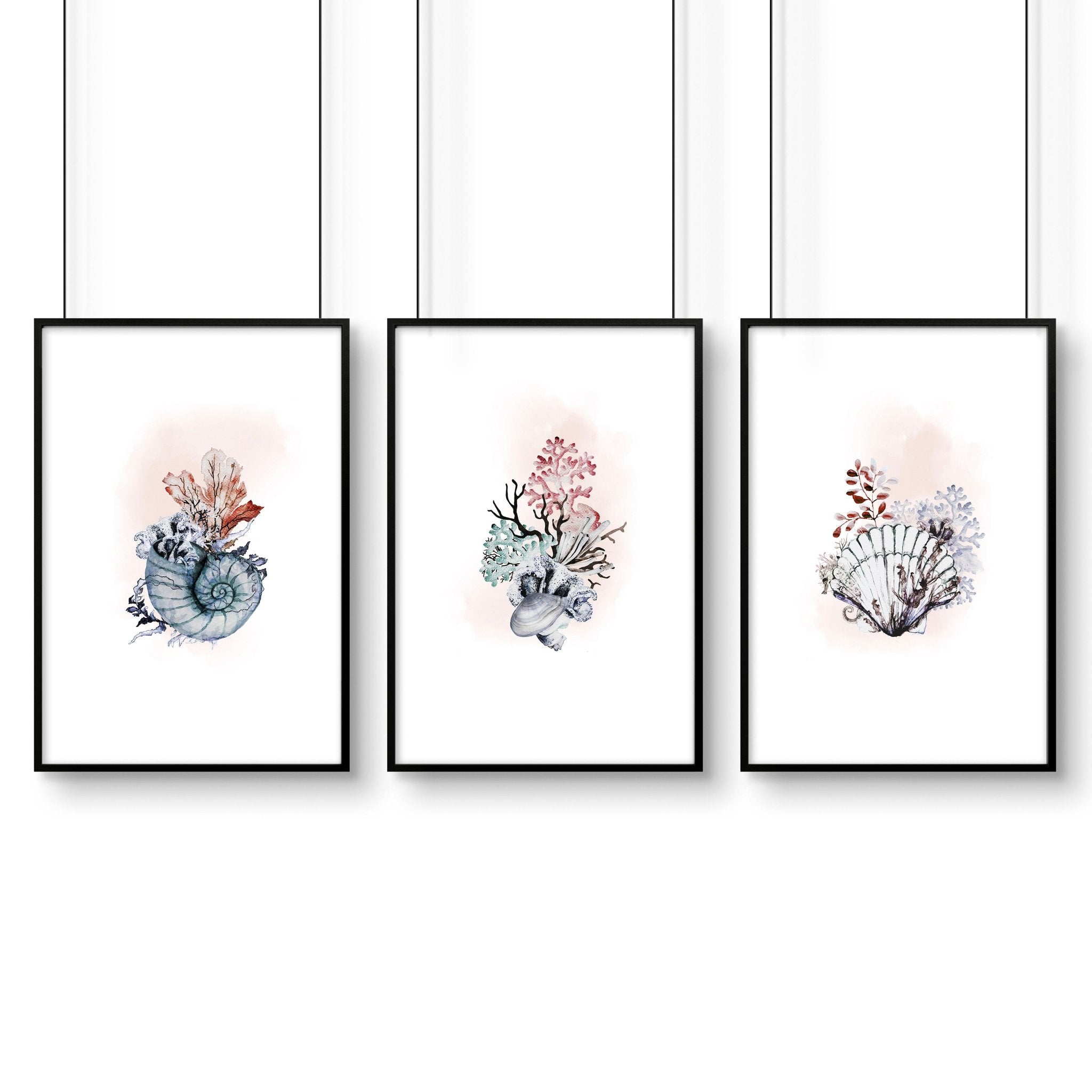 Set of 3 framed coastal wall art prints featuring beautiful watercolour seashell illustrations in soothing colors.