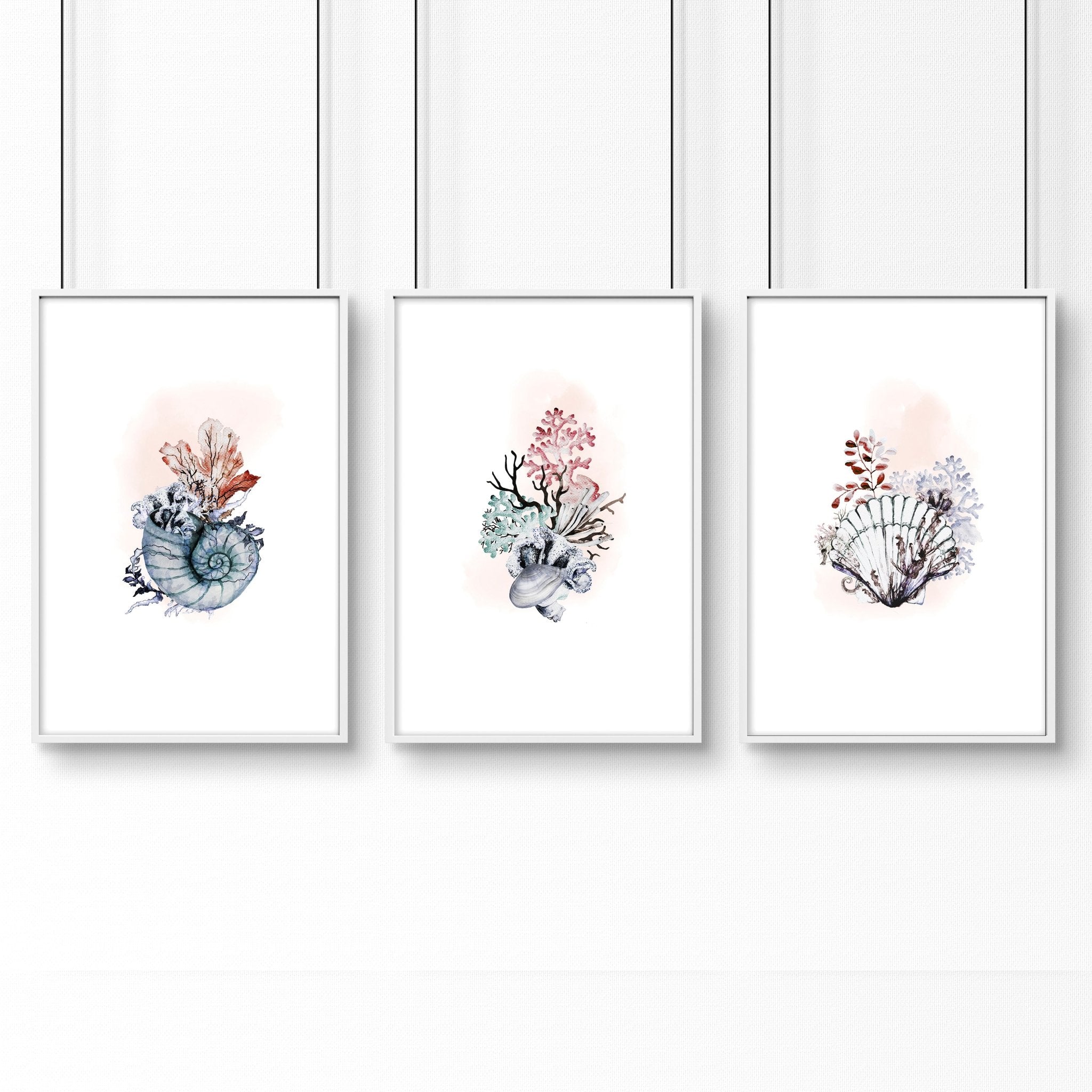 Set of 3 framed coastal wall art prints featuring beautiful watercolour seashell illustrations in soothing colors.