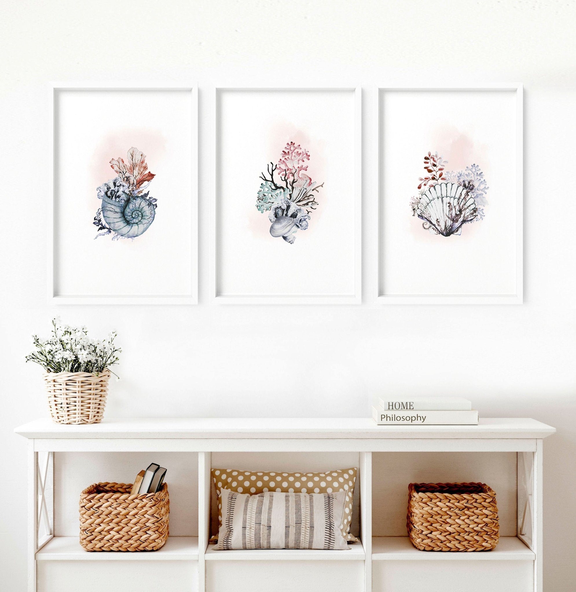 Set of 3 framed coastal wall art prints featuring beautiful watercolour seashell illustrations in soothing colors.