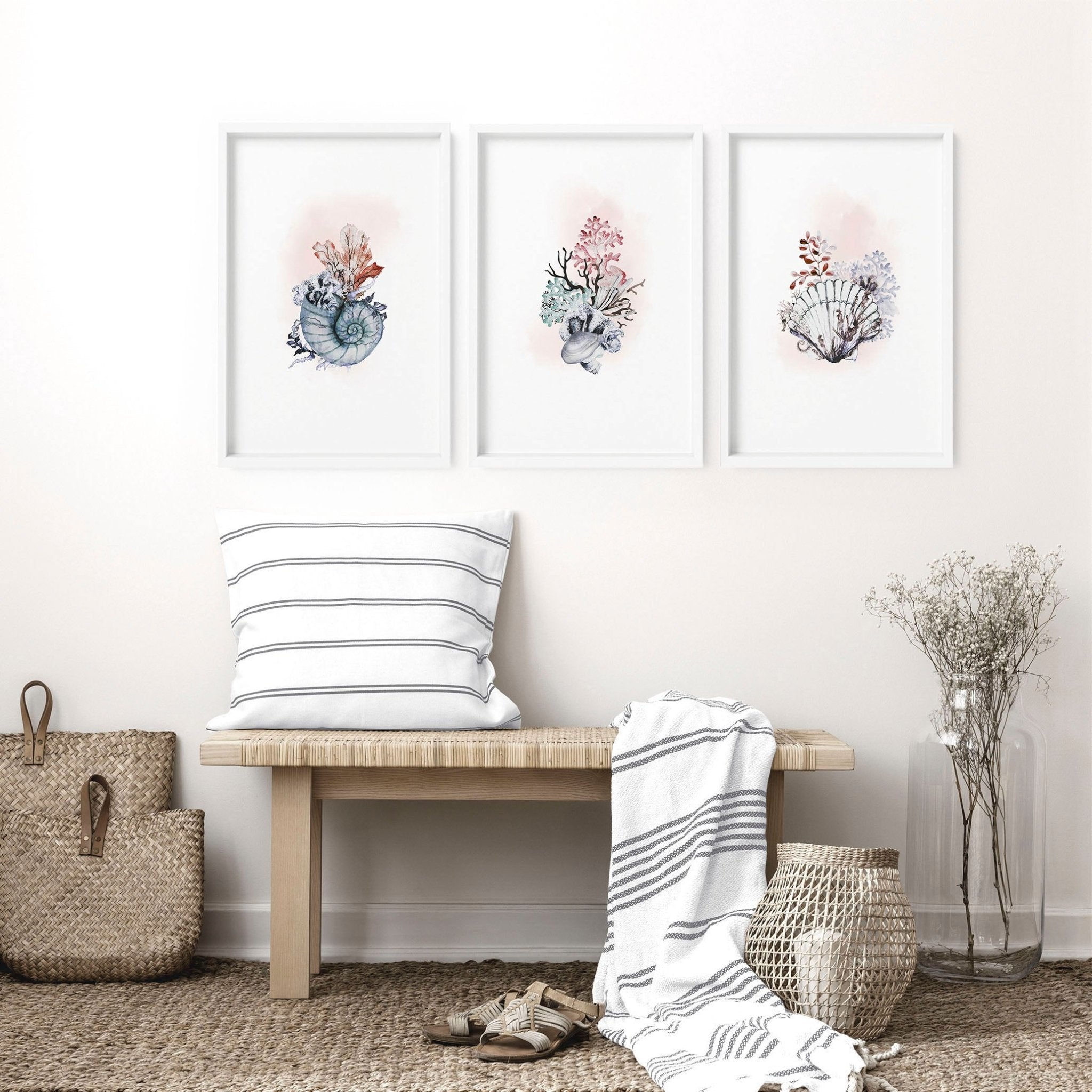 Set of 3 framed coastal wall art prints featuring beautiful watercolour seashell illustrations in soothing colors.