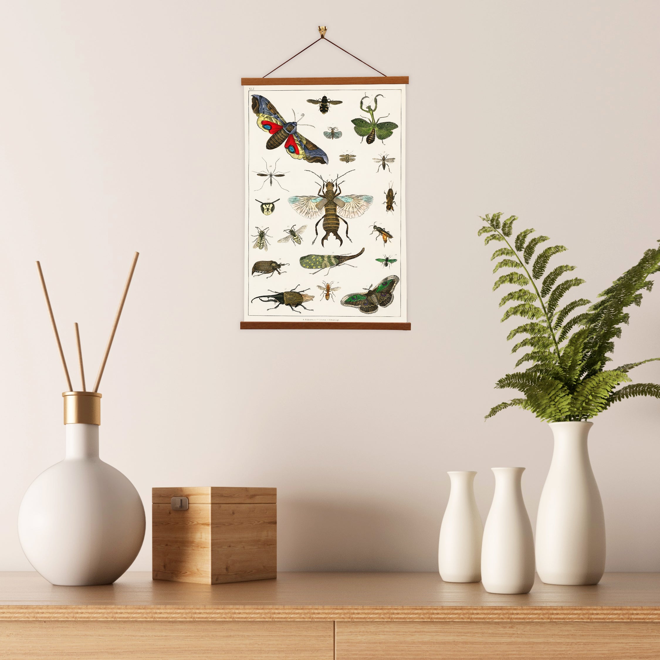 A detailed canvas print of various insects by Oliver Goldsmith, showcasing intricate illustrations and vibrant colors.