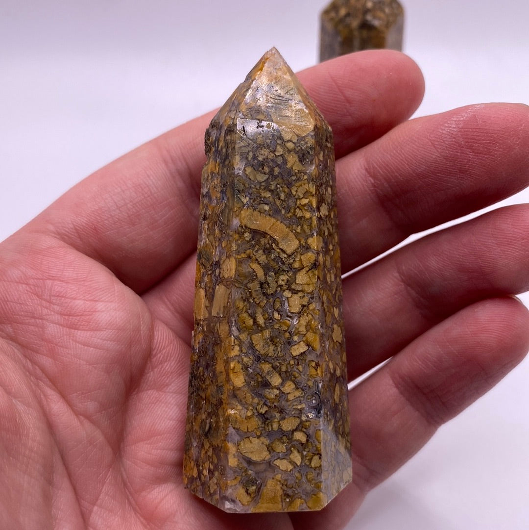 A 2 1/2 inch polished Coral Fossil point, showcasing its smooth surface and natural patterns, ideal for spiritual and emotional healing.