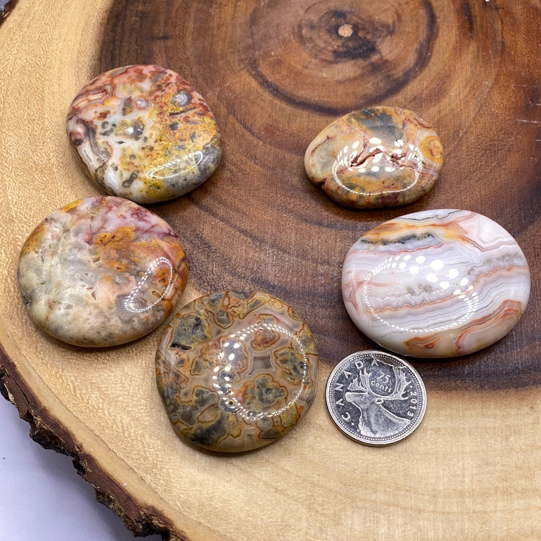 A beautiful Crazy Lace Agate Palm Stone showcasing creamy oranges, browns, and whites with a smooth surface, perfect for meditation.