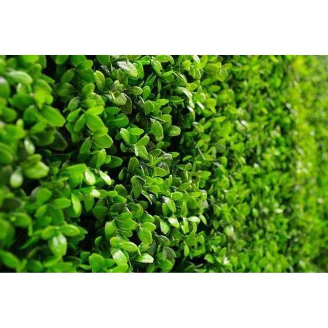 Dense Buxus Artificial Hedge Tile showcasing realistic green foliage, perfect for creating privacy and enhancing outdoor spaces.