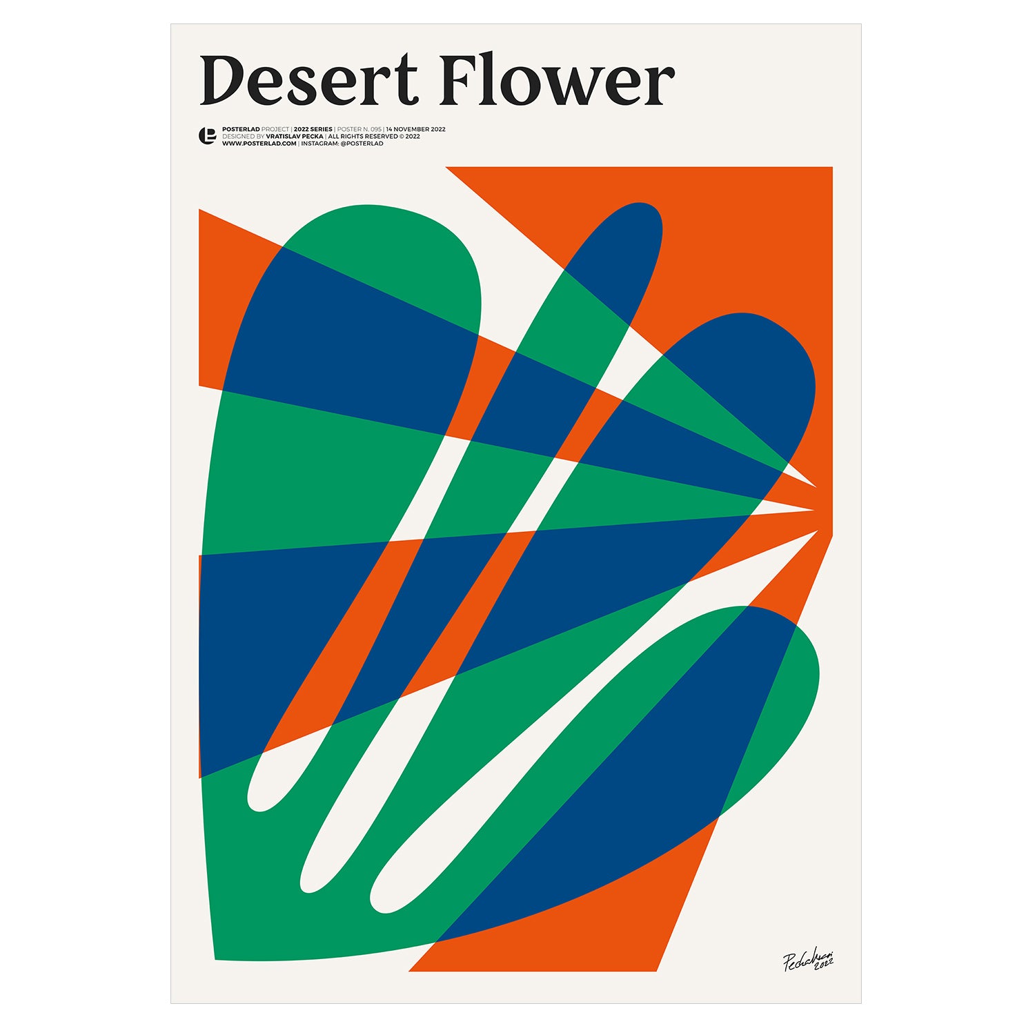 A vibrant Desert Flower poster featuring colorful floral designs on thick matte paper, perfect for home decor.