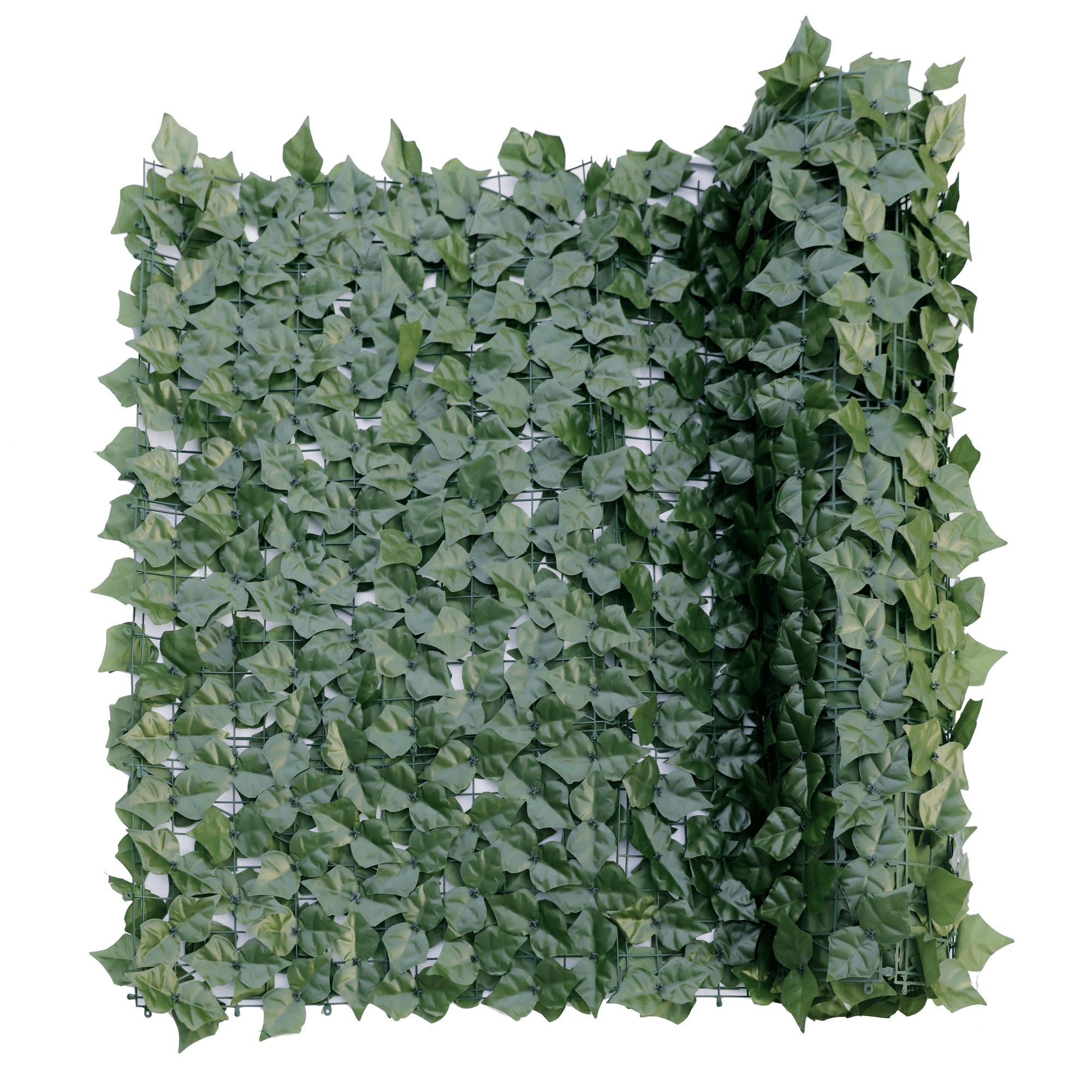 Double-sided artificial ivy roll measuring 3m x 1m, showcasing lush green leaves on a mesh frame, ideal for privacy and decoration.