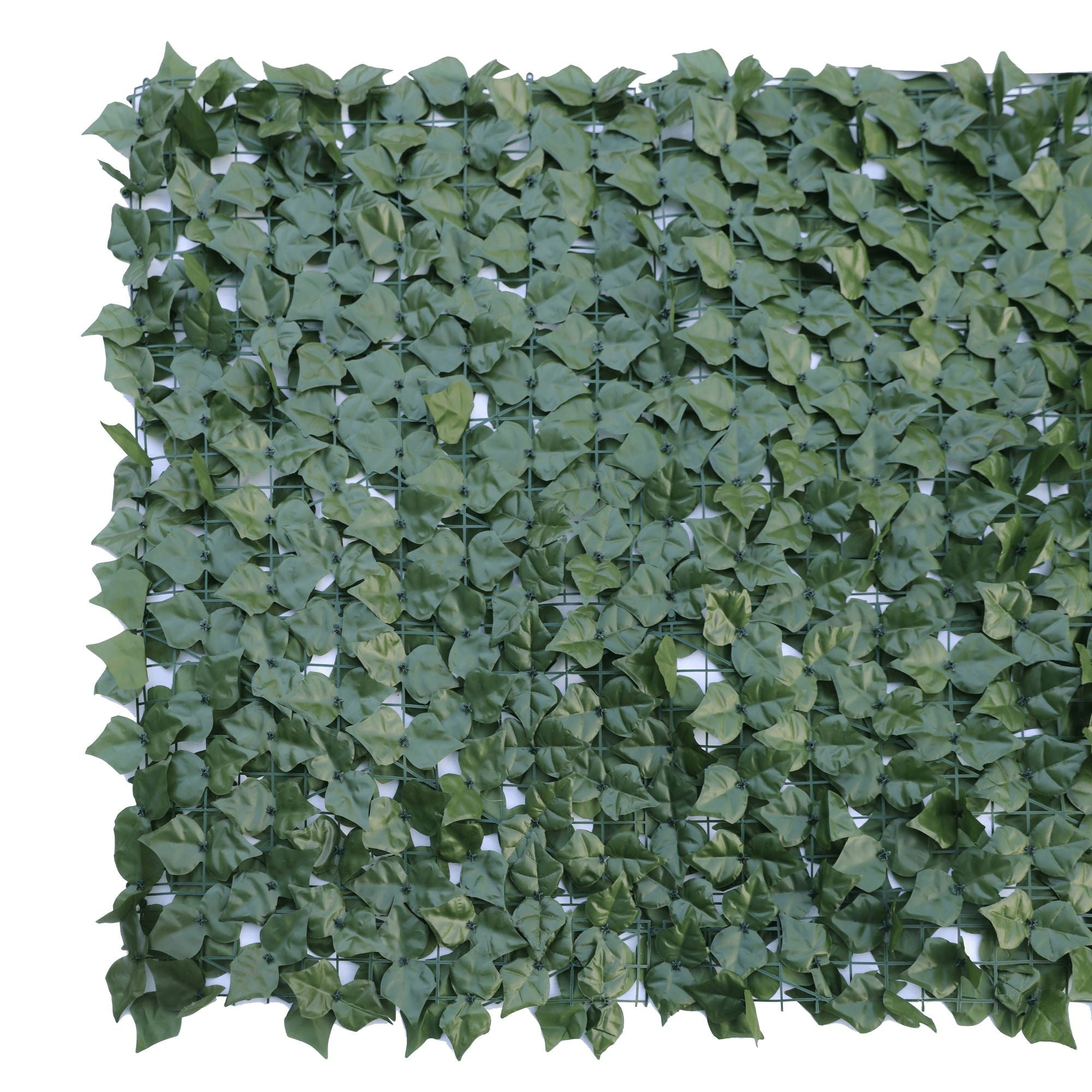 Double-sided artificial ivy roll measuring 3m x 1m, showcasing lush green leaves on a mesh frame, ideal for privacy and decoration.