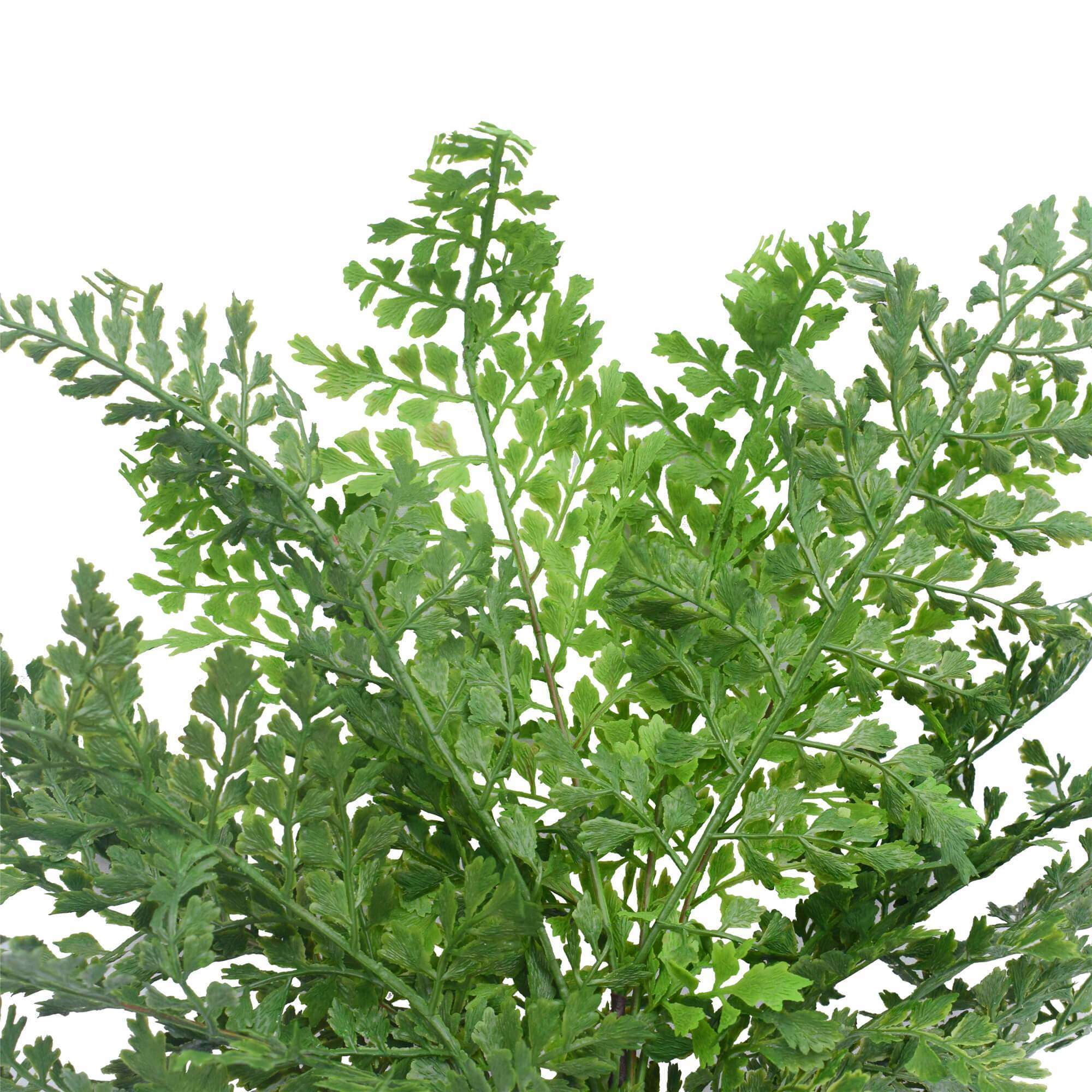 A 40cm Faux Green Maiden Hair Fern with lush green leaves and intricate vein details, perfect for indoor and outdoor decoration.