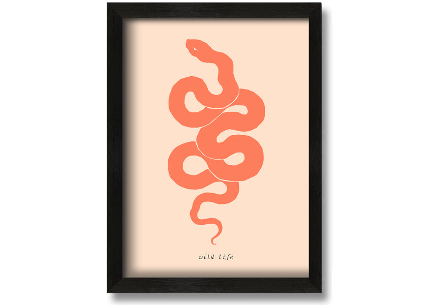 A beautifully framed Flash Snake print showcasing intricate details and vibrant colors, available in various frame options.