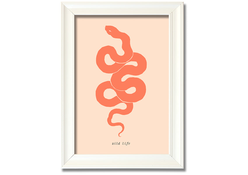 A beautifully framed Flash Snake print showcasing intricate details and vibrant colors, available in various frame options.