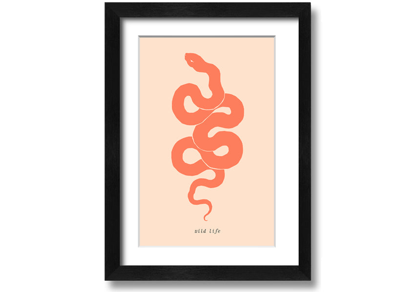 A beautifully framed Flash Snake print showcasing intricate details and vibrant colors, available in various frame options.