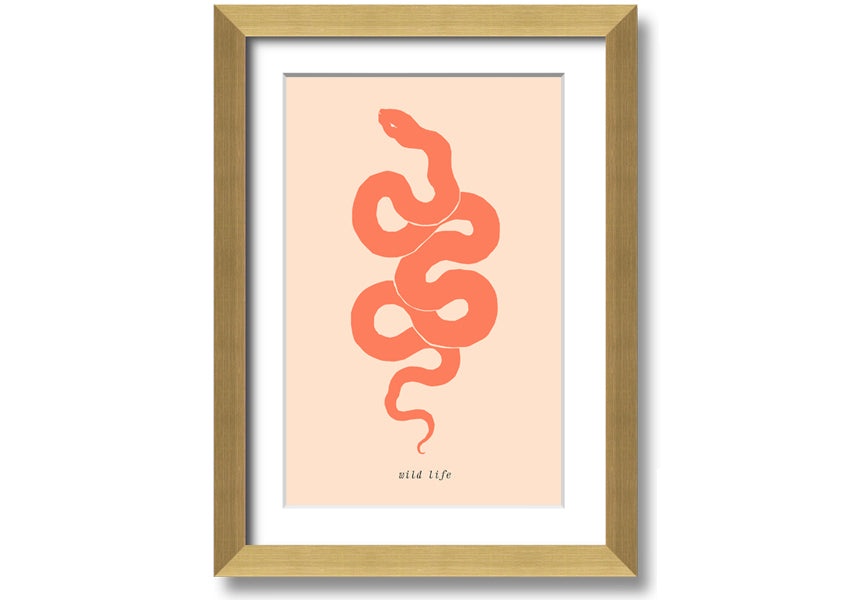 A beautifully framed Flash Snake print showcasing intricate details and vibrant colors, available in various frame options.