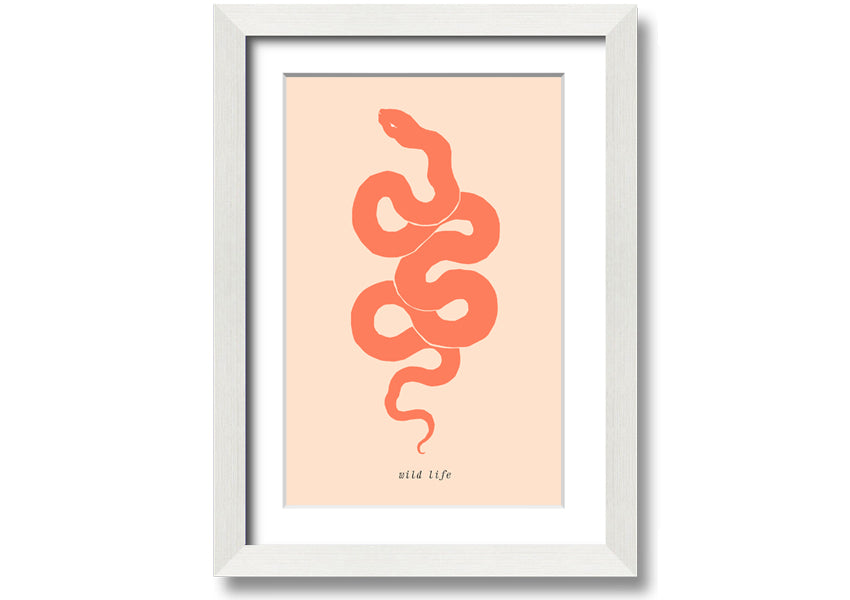 A beautifully framed Flash Snake print showcasing intricate details and vibrant colors, available in various frame options.