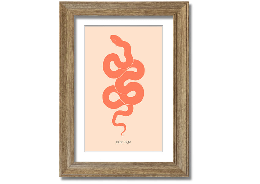 A beautifully framed Flash Snake print showcasing intricate details and vibrant colors, available in various frame options.