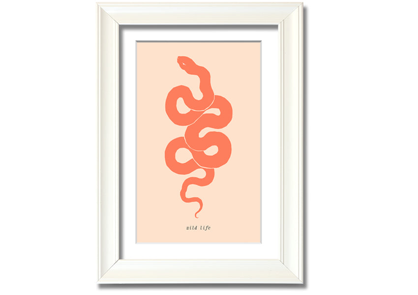 A beautifully framed Flash Snake print showcasing intricate details and vibrant colors, available in various frame options.