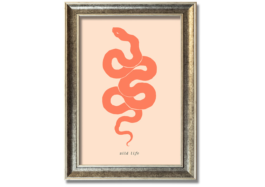 A beautifully framed Flash Snake print showcasing intricate details and vibrant colors, available in various frame options.