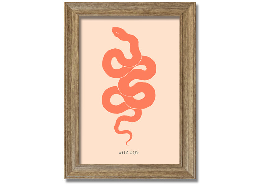 A beautifully framed Flash Snake print showcasing intricate details and vibrant colors, available in various frame options.