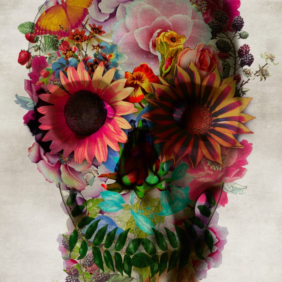 Floral Skull 2 by Ali Gulec featuring a detailed skull surrounded by colorful flowers, showcasing a blend of vintage and modern illustration styles.