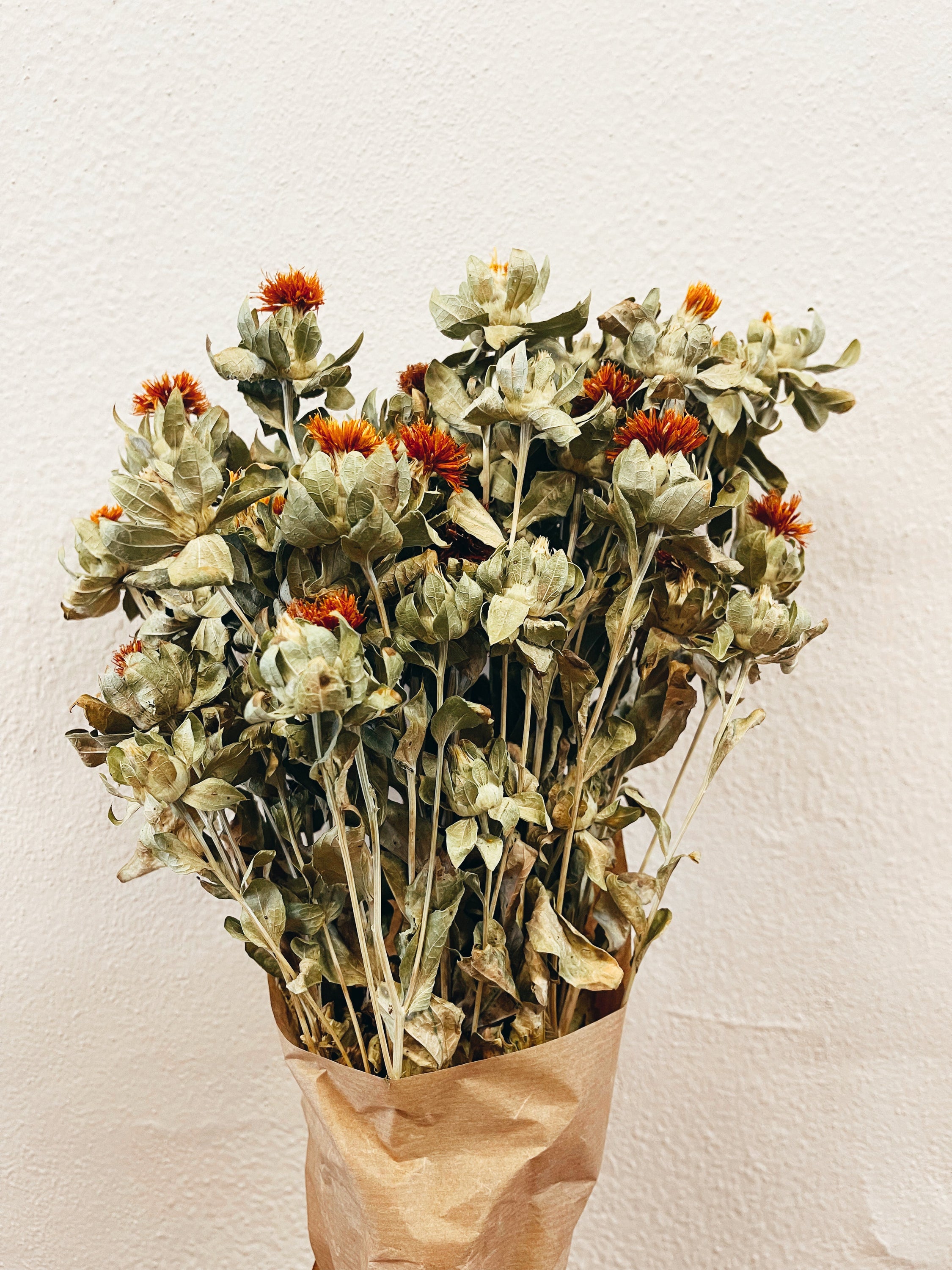 A vibrant bouquet of Flores Secas Carthamus Laranja, showcasing dried orange flowers arranged elegantly for rustic decor.