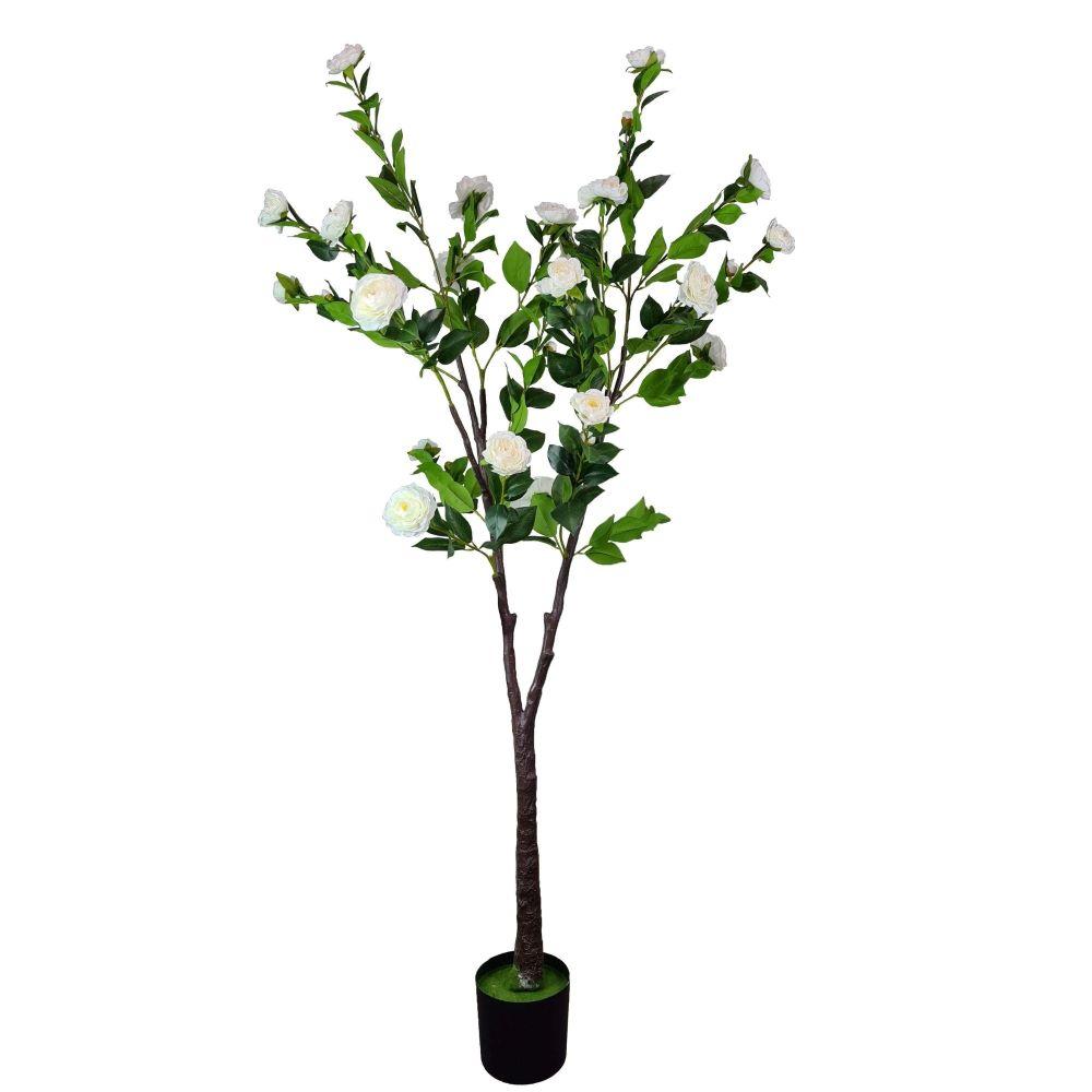 A tall 180cm Flowering Natural White Artificial Camellia Tree with soft white flowers and lush green leaves, elegantly displayed indoors.