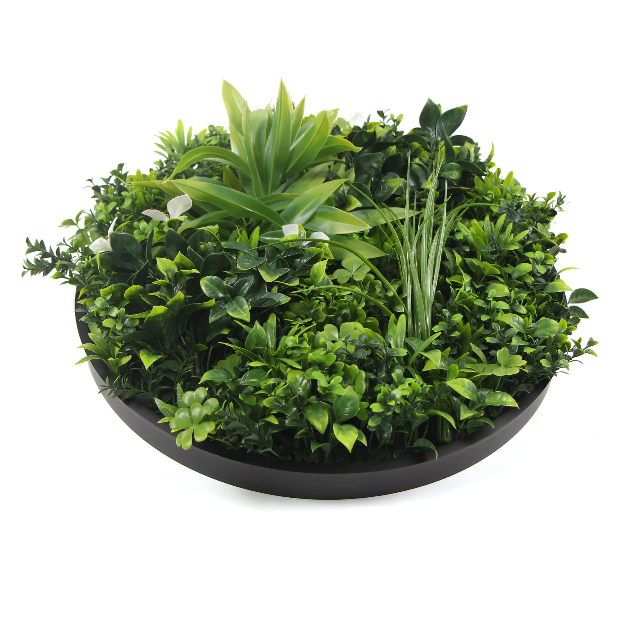 Large Flowering White Artificial Green Wall Disc with black frame, showcasing vibrant white flowers and lush greenery.