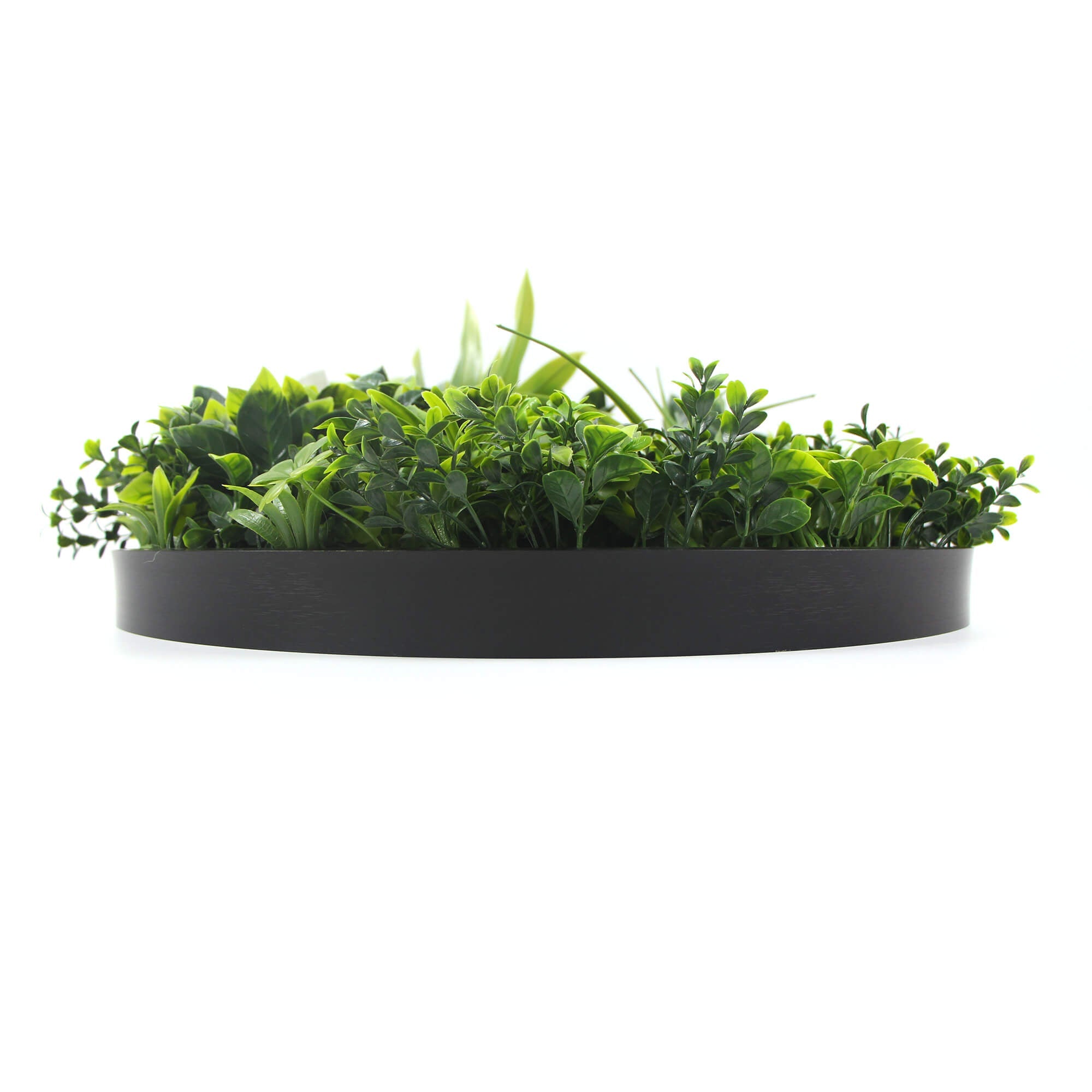 Large Flowering White Artificial Green Wall Disc with black frame, showcasing vibrant white flowers and lush greenery.