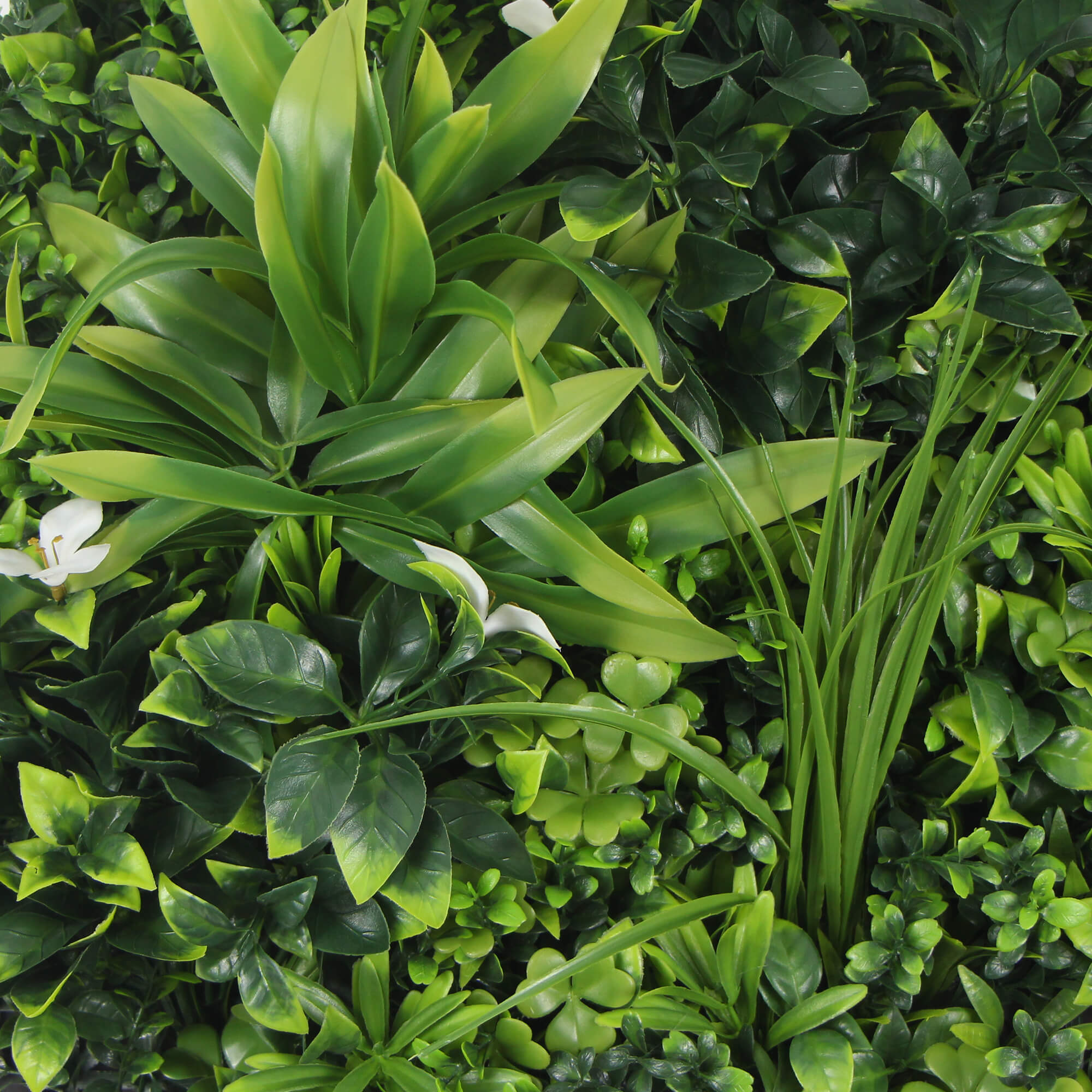 Large Flowering White Artificial Green Wall Disc with black frame, showcasing vibrant white flowers and lush greenery.