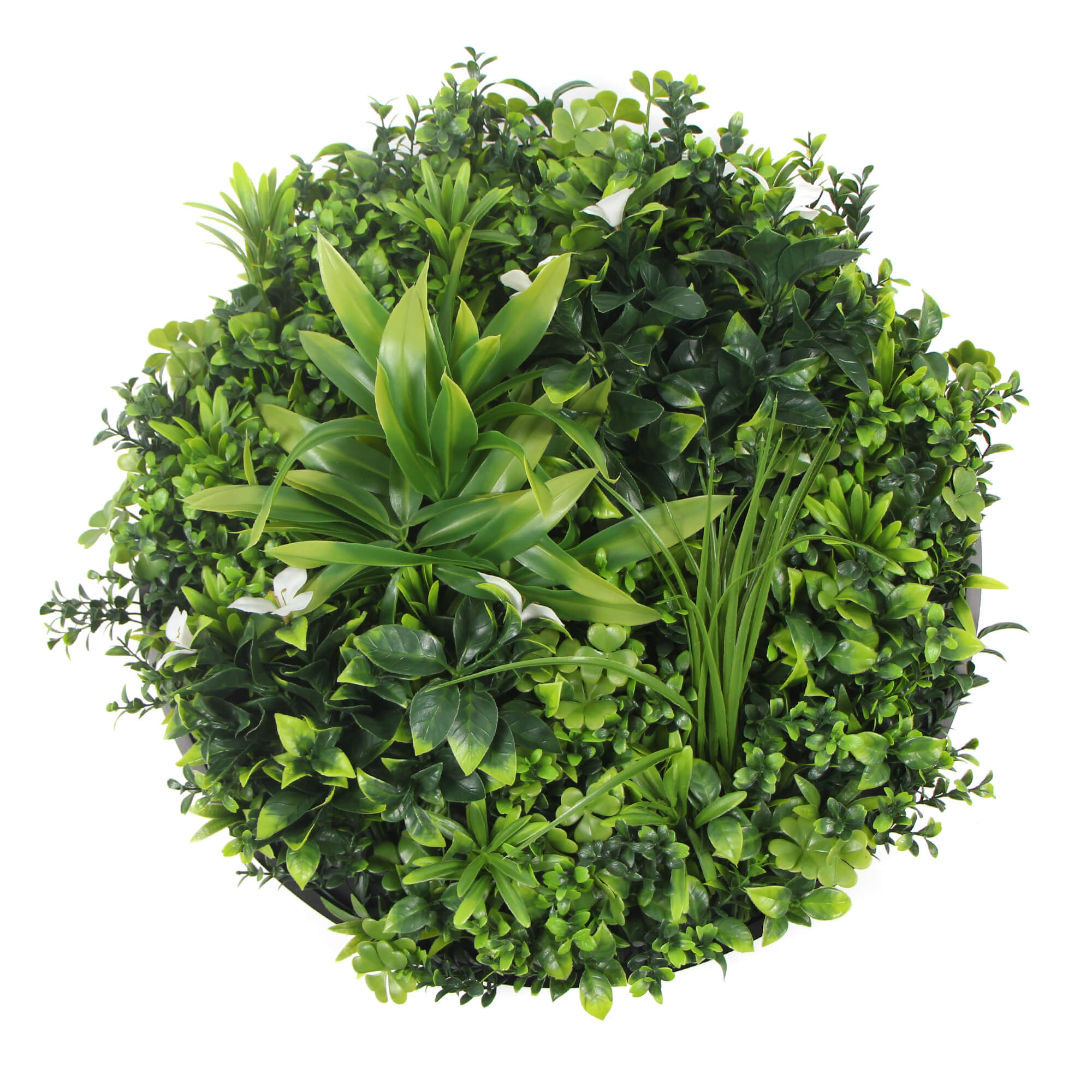 Large Flowering White Artificial Green Wall Disc with black frame, showcasing vibrant white flowers and lush greenery.