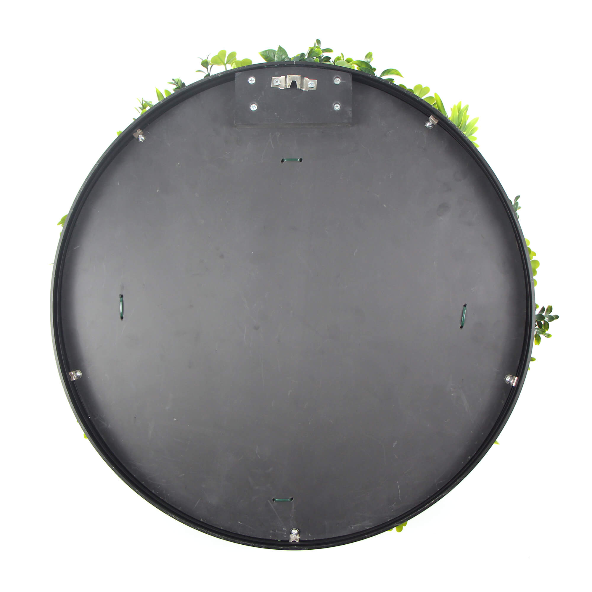 Large Flowering White Artificial Green Wall Disc with black frame, showcasing vibrant white flowers and lush greenery.