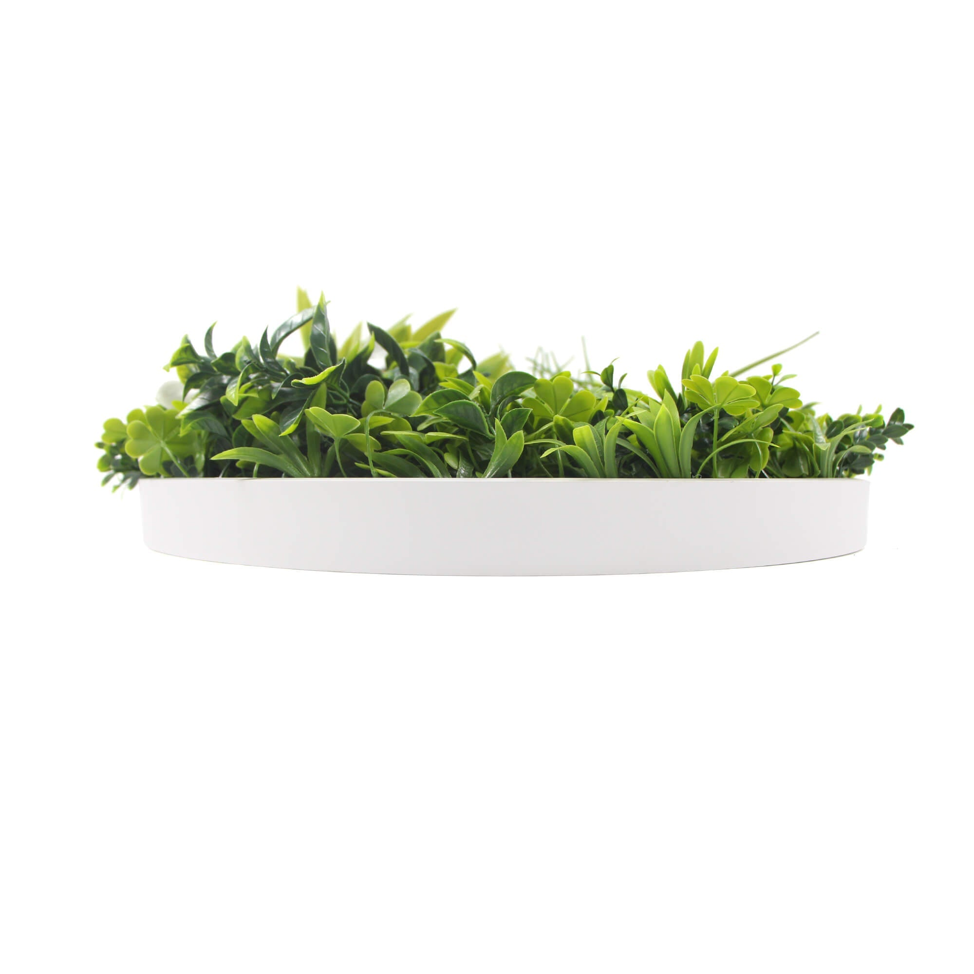 Large Flowering White Artificial Green Wall Disc with a white frame, showcasing vibrant UV-resistant foliage, perfect for indoor and outdoor decor.