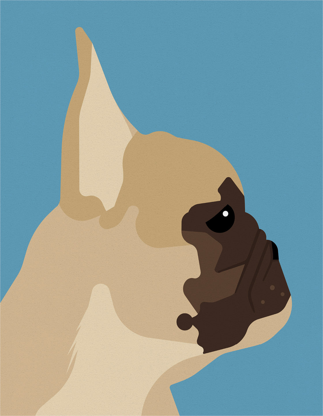 A charming French bulldog named Barry, showcasing his playful and affectionate nature.