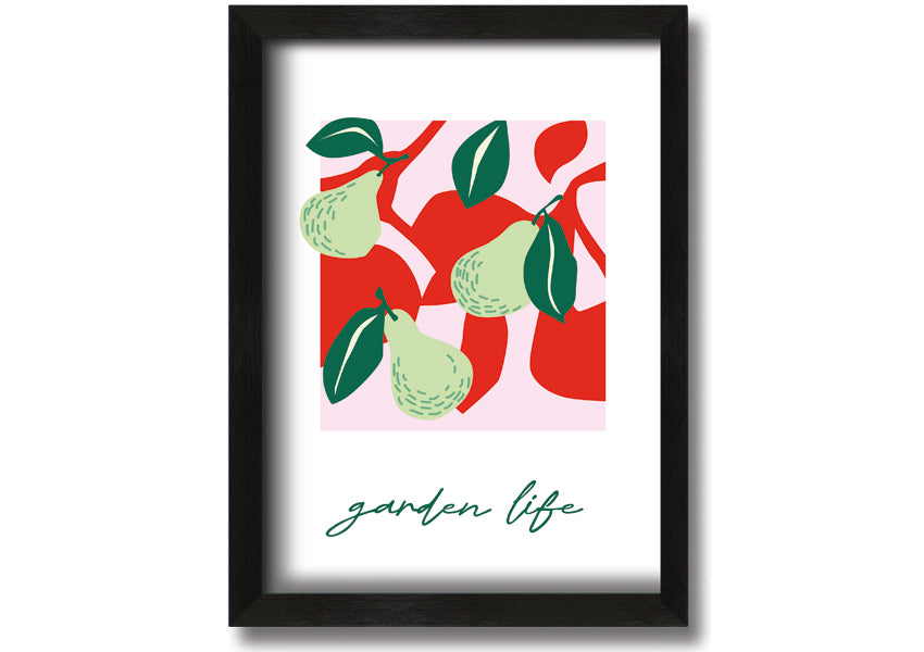 A beautifully framed print of pears, showcasing vibrant colors and intricate details, available in various frame colors.