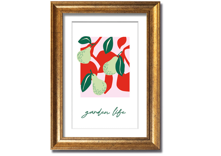 A beautifully framed print of pears, showcasing vibrant colors and intricate details, available in various frame colors.