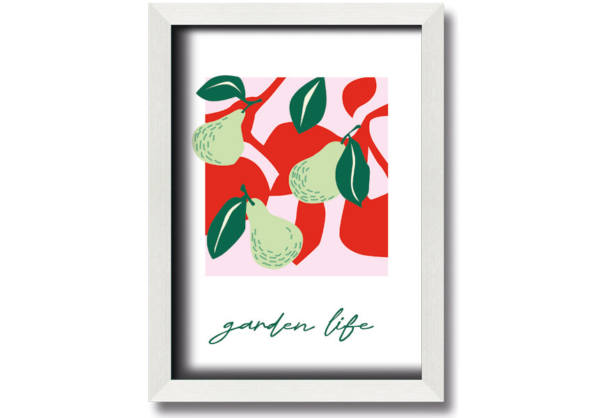 A beautifully framed print of pears, showcasing vibrant colors and intricate details, available in various frame colors.