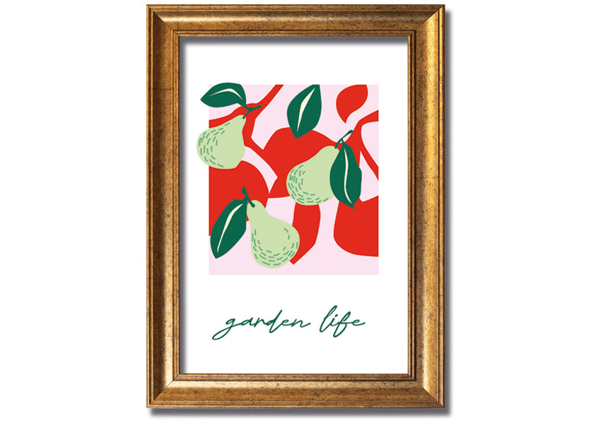 A beautifully framed print of pears, showcasing vibrant colors and intricate details, available in various frame colors.