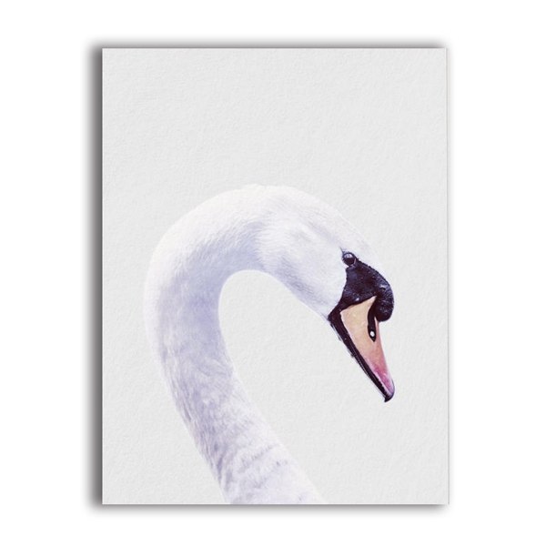 White swan with curved neck.