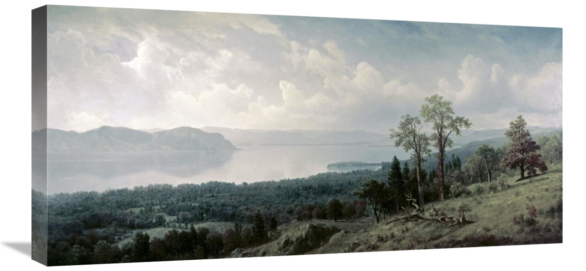 Mountainous landscape with trees and lake.