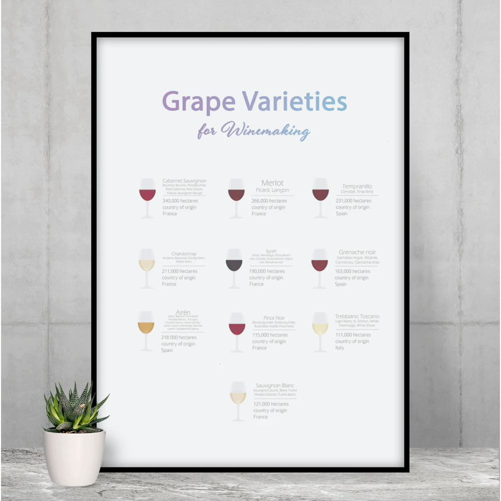 Grape Varieties for Winemaking poster showcasing various grape types, printed on premium matte paper, ideal for room decor.